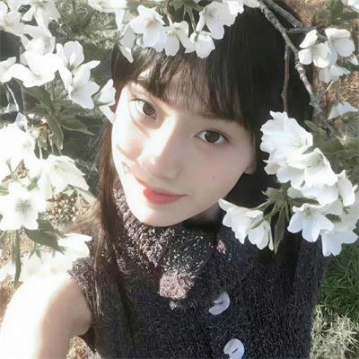 初识与告别之间